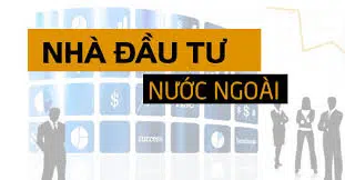 Nhà đầu tư nước ngoài góp vốn vào doanh nghiệp Việt Nam là những ai?